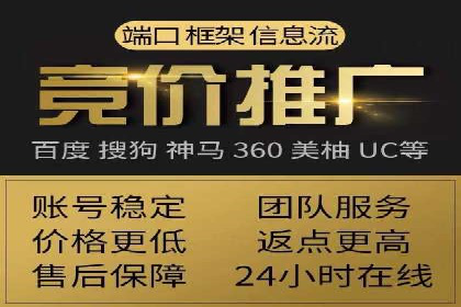 竞价SEM托管服务：成功案例揭秘